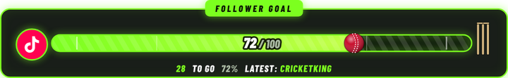 Follower Goal bar